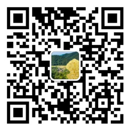 口袋牛店